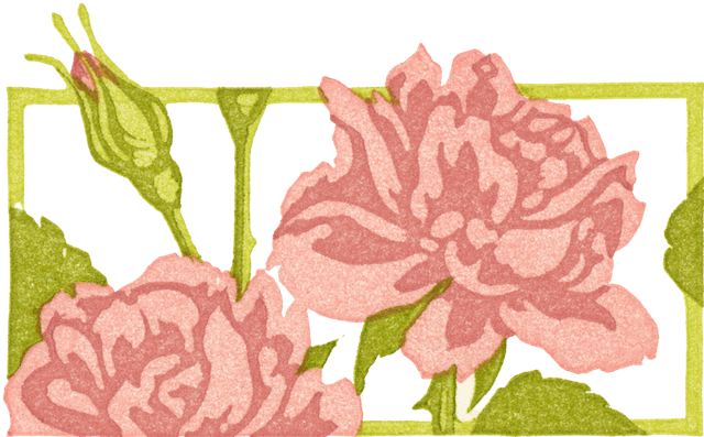 Floral illustration